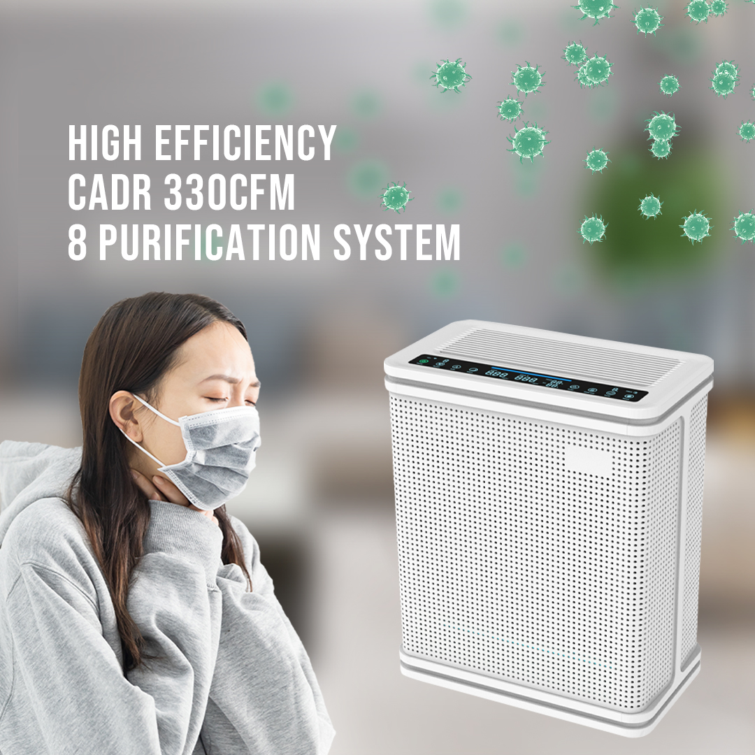 Gran distribuidor de purificador de aire de filtro HEPA de HEPA